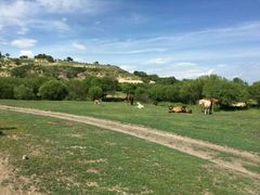 -塞罕坝国家级自然保护区