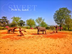 -北京西山国家森林公园
