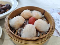 -益健美食大广场(北岭店)