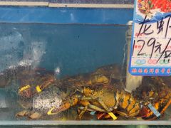 -仙螺岛海鲜自助餐厅(总店)