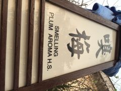 国御温泉度假小镇-国御温泉度假小镇