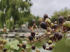 -济南国际园博园