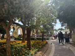 -上巴拉卡花园和下巴拉卡花园