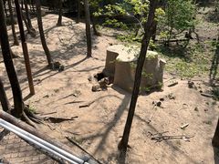 -哈尔滨北方森林动物园