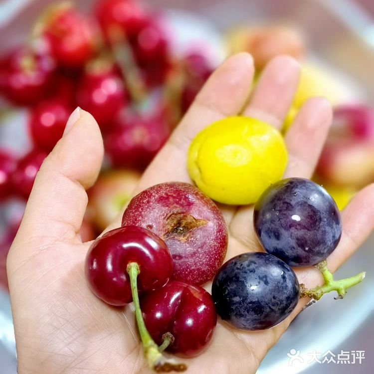 #随手拍#迷你水果局～mini fruits