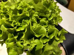 -花城粤菜餐厅(高新区店)