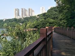 -重庆彩云湖湿地公园