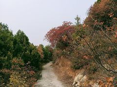 -北京金海湖景区