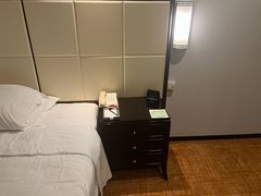 -武汉江城明珠豪生大酒店
