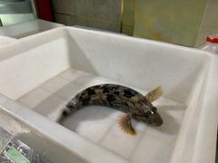 -宾朋海鲜美食餐厅·特色美食(兴海路店)