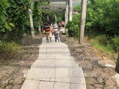 -缥缈峰景区