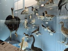 -浙江自然博物院(杭州馆)