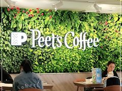 大堂-Peet's Coffee皮爷咖啡(大学路店)
