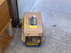 -四月宠物医院·猫专科·心脏专科·内科(转塘店)