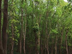 -同里国家湿地公园