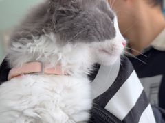 -佳雯宠物医院·皮肤科·内外科(春晓路分院)