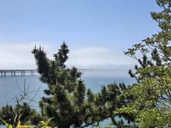 -星海湾跨海大桥