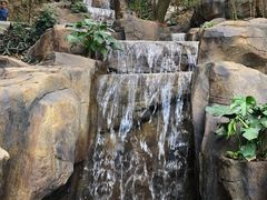 -广州市流溪河国家森林公园