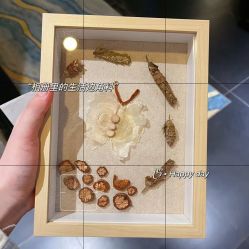 -保丽宝泰母婴护理院·月子中心·产康·中医(常州店)