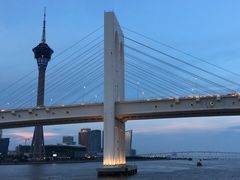 -澳门环岛游湾仔码头