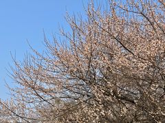 -国际非物质文化遗产博览园