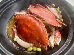 -海市焗·现焗海鲜·老广风味(上海首店)