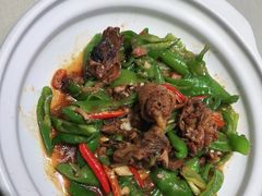 -鸭王烤鸭店(三里河店)