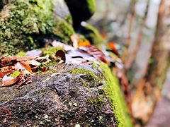 -藏龙百瀑风景区
