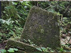 -天目山大树王景区