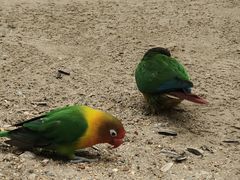 -北京野生动物园