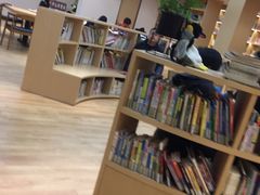 -漕河泾街道图书馆(漕河泾社区文化活动中心店)