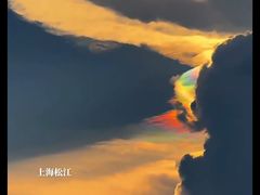 -舒蔡记生煎菜饭(云南中路店)