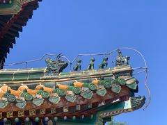 -武清南湖绿博园