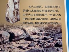 -安徽省地质博物馆