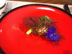 -鱼桥巷·美学川菜