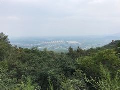 -阳台山自然风景区