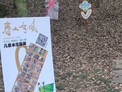 -上海佘山国家森林公园天马山园