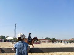 -意大利农场度假村