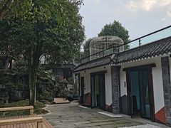 -老幺泉水鸡
