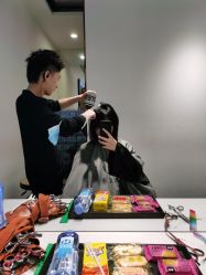 -华卫思理轻奢造型