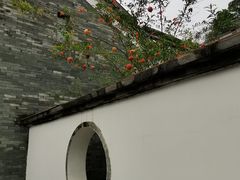 -广州神农草堂中医药博物馆