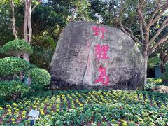 -野狸岛