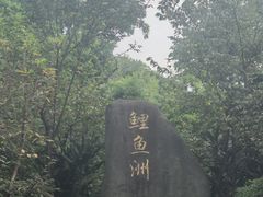 -福建鲤鱼洲酒店