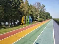 -贡湖湾湿地公园