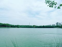 -昆山城市生态森林公园