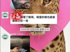 -派美特宠物医院·核磁CT·骨科肿瘤·疑难转诊(沈农禾丰店)