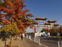 -北京西山国家森林公园