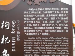 -枸杞岛