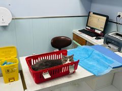 -纳吉亚猫专科动物诊疗中心(蒋宅口分院)