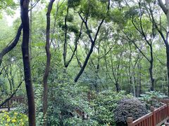 -上海佘山国家森林公园天马山园